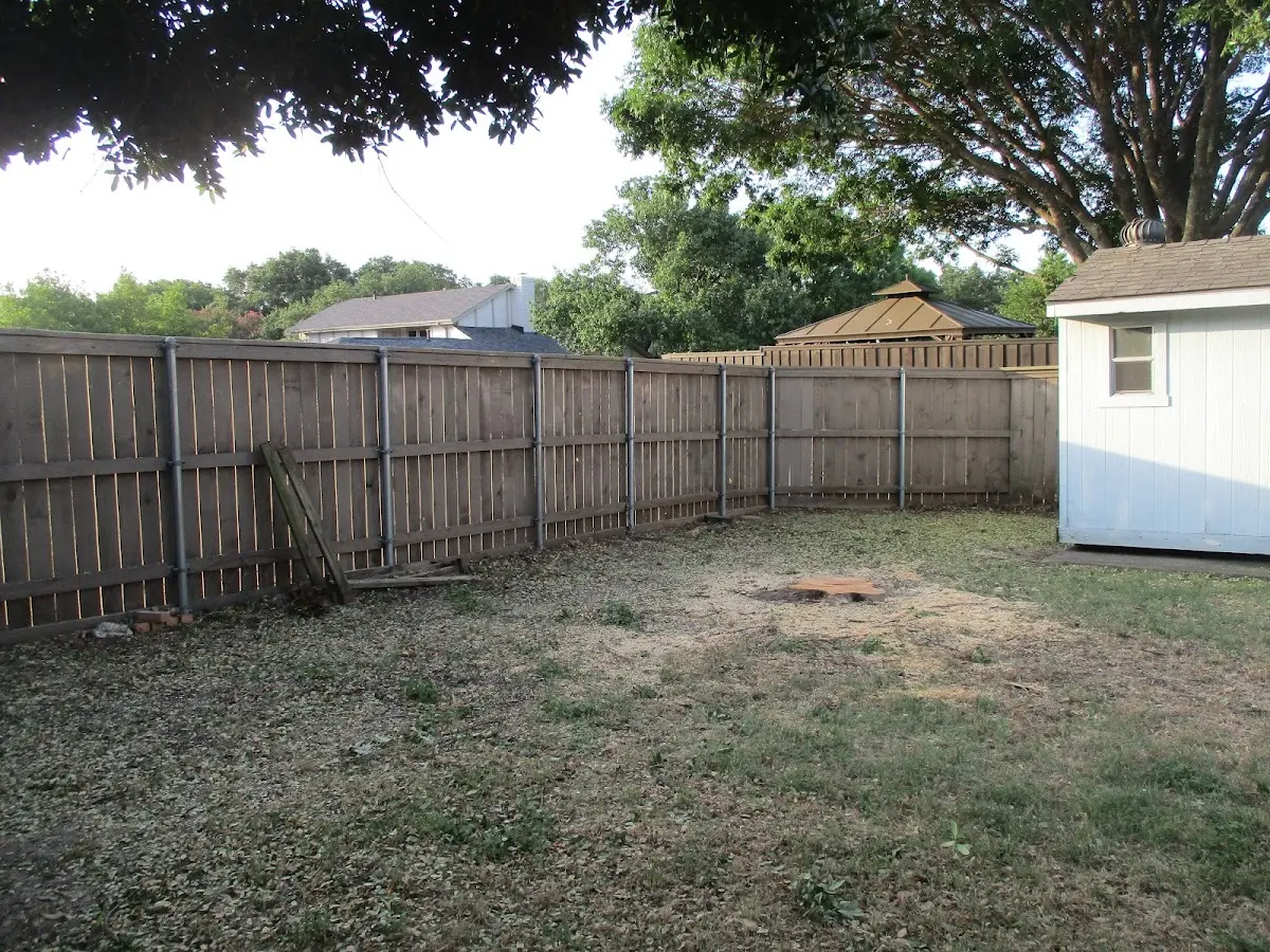Cleared yard after professional tree removal in Mechanicville